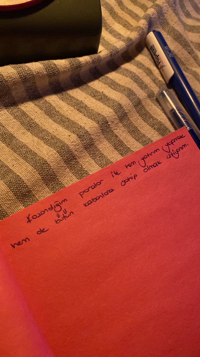 akıllanmazsın kızım seda