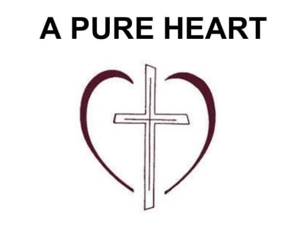 Man does not see what the Lord sees, for man sees what is visible, but the Lord sees the heart.
1 Samuel 16:7
God saw something special in David that others couldn’t see. He saw that David’s heart was a godly heart and that’s why David was God’s choice for king!!