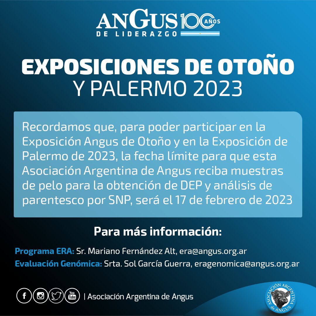 Angus Argentina tweet media