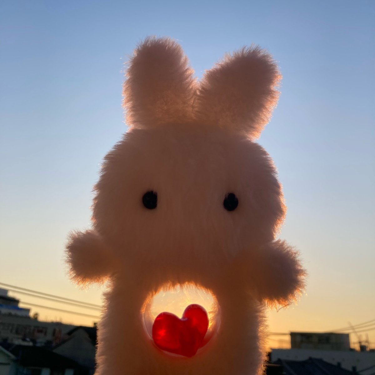 すけうさのおうち (@sukeusa) / Posts / X