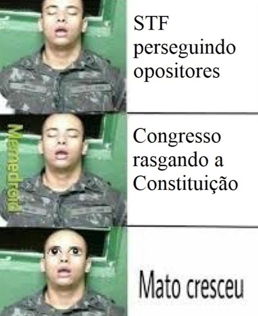 Gustavo Gayer (@gayergus) on Twitter photo 