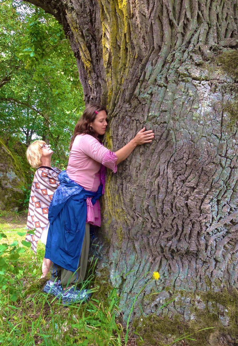 Don’t forget to hug a tree today 😀