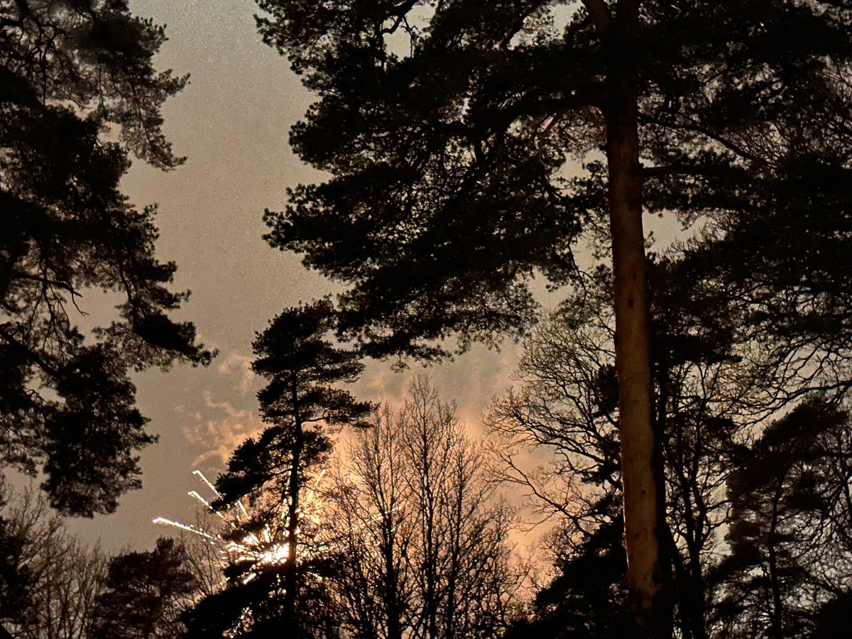 ANOTHER M 🇸🇪 🔺AV tweet media