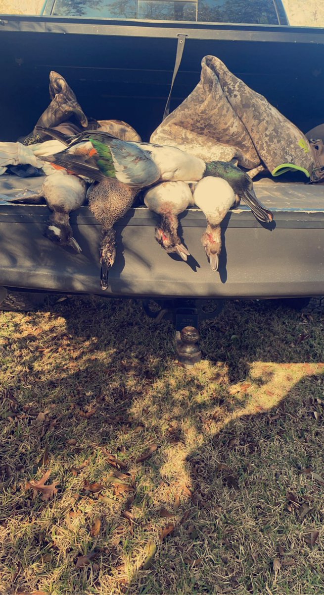 Ended the year the right way and got a pretty one for the wall
