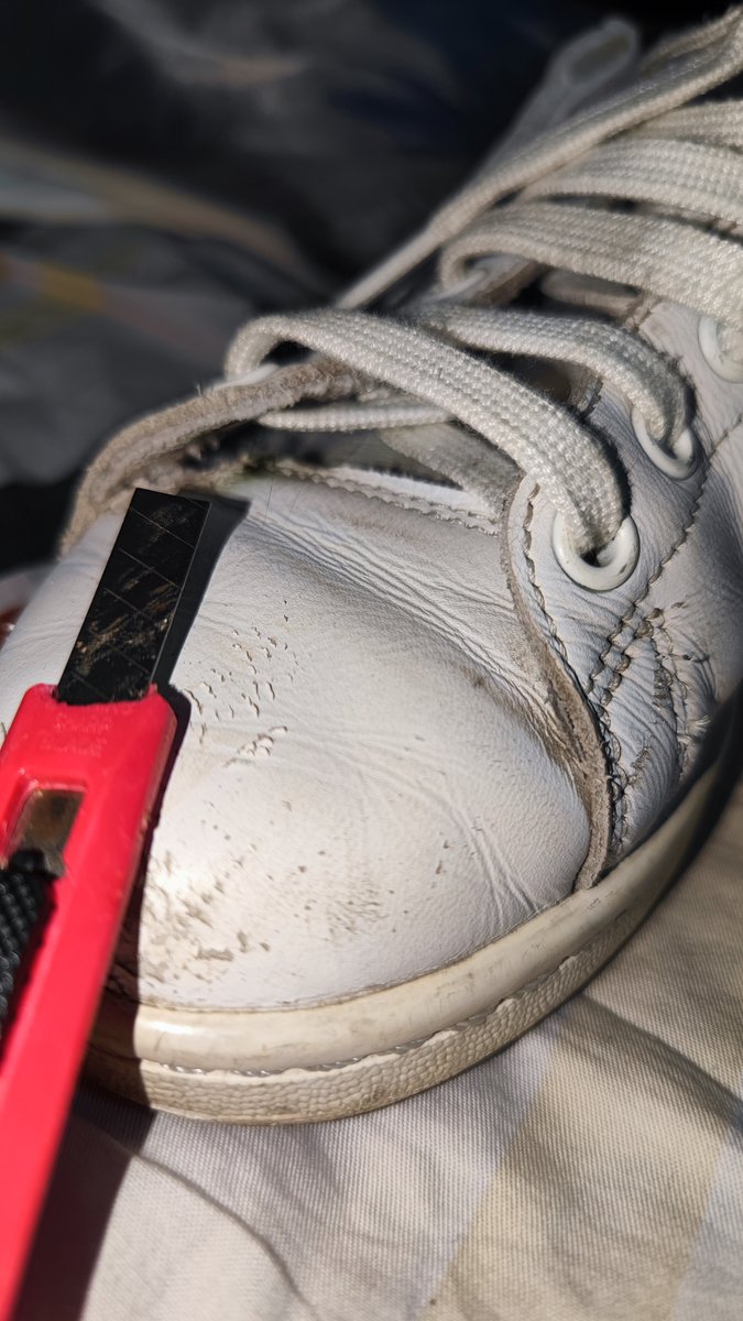 新年快乐！
从毁掉女友一双旧鞋开始