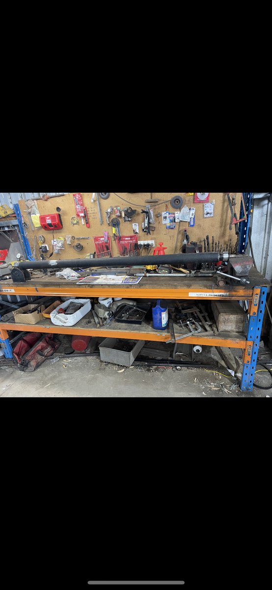 Brayden Warren tweet media