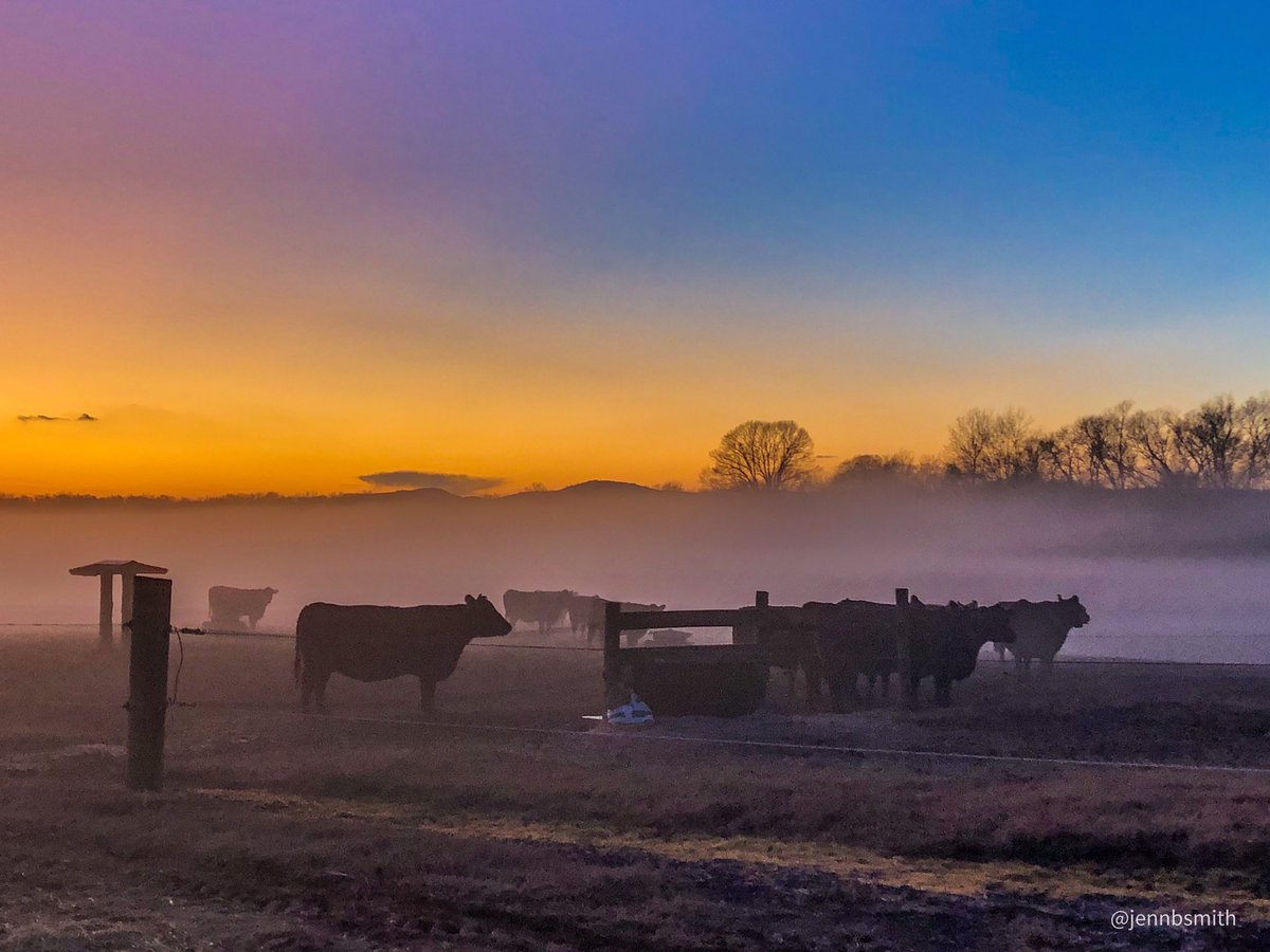 Last sunset of 2022. #farmlifebestlife #gawx <a href="/spann/">James Spann</a> @RyanBeesleyFox5