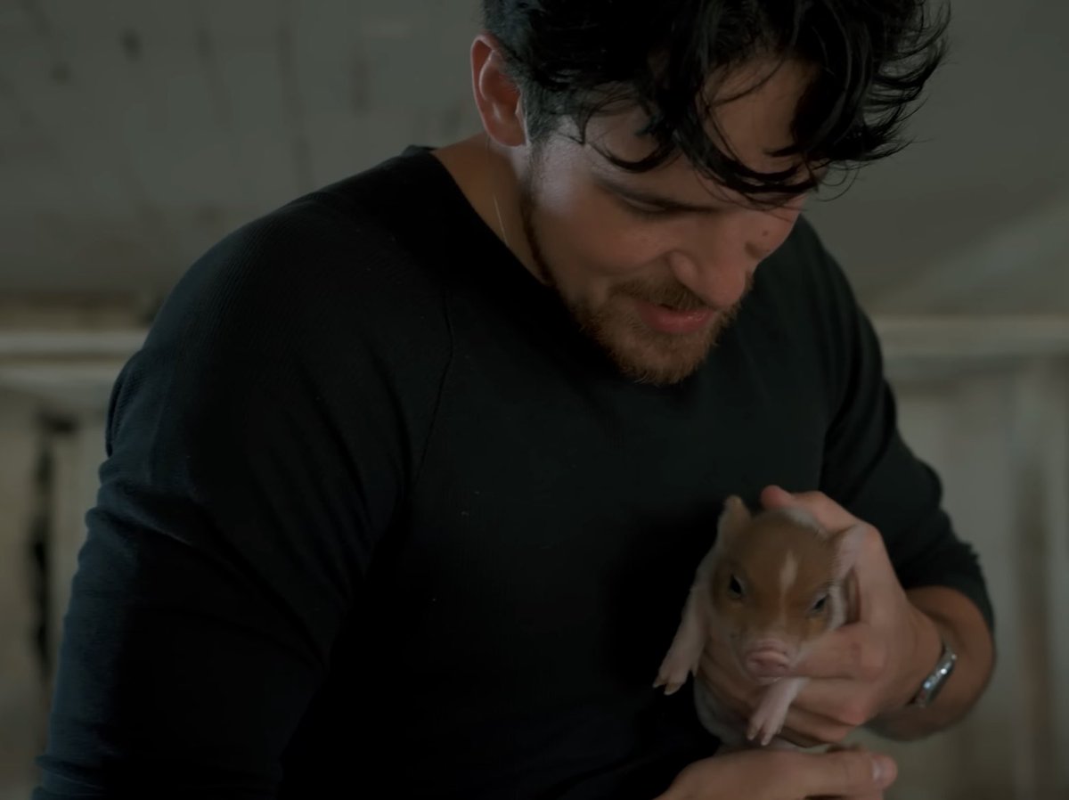 faith ✰ tweet media