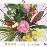 【公式】伊勢神宮のお膝元 鳥羽 胡蝶蘭のツイート画像