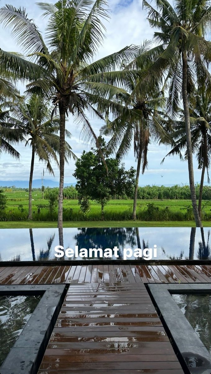 alanudss tweet picture