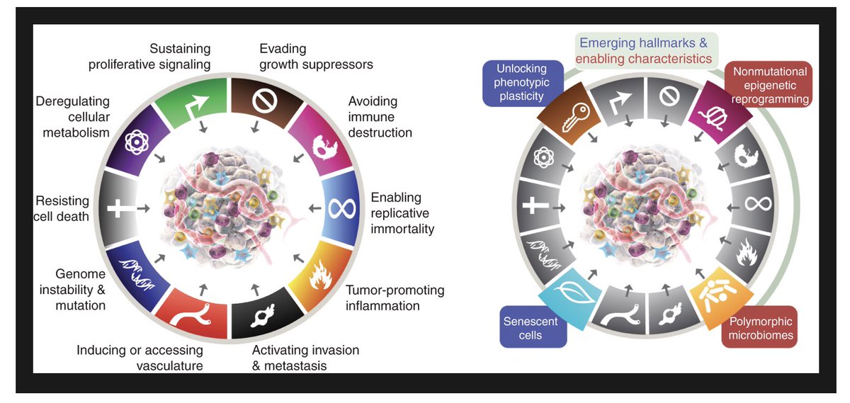 خلال العام الميلادي ٢٠٢٢، كان هناك تقدم في أبحاث السرطان وهي بلاشك إمتداد لأبحاث متواصلة خلال السنوا...