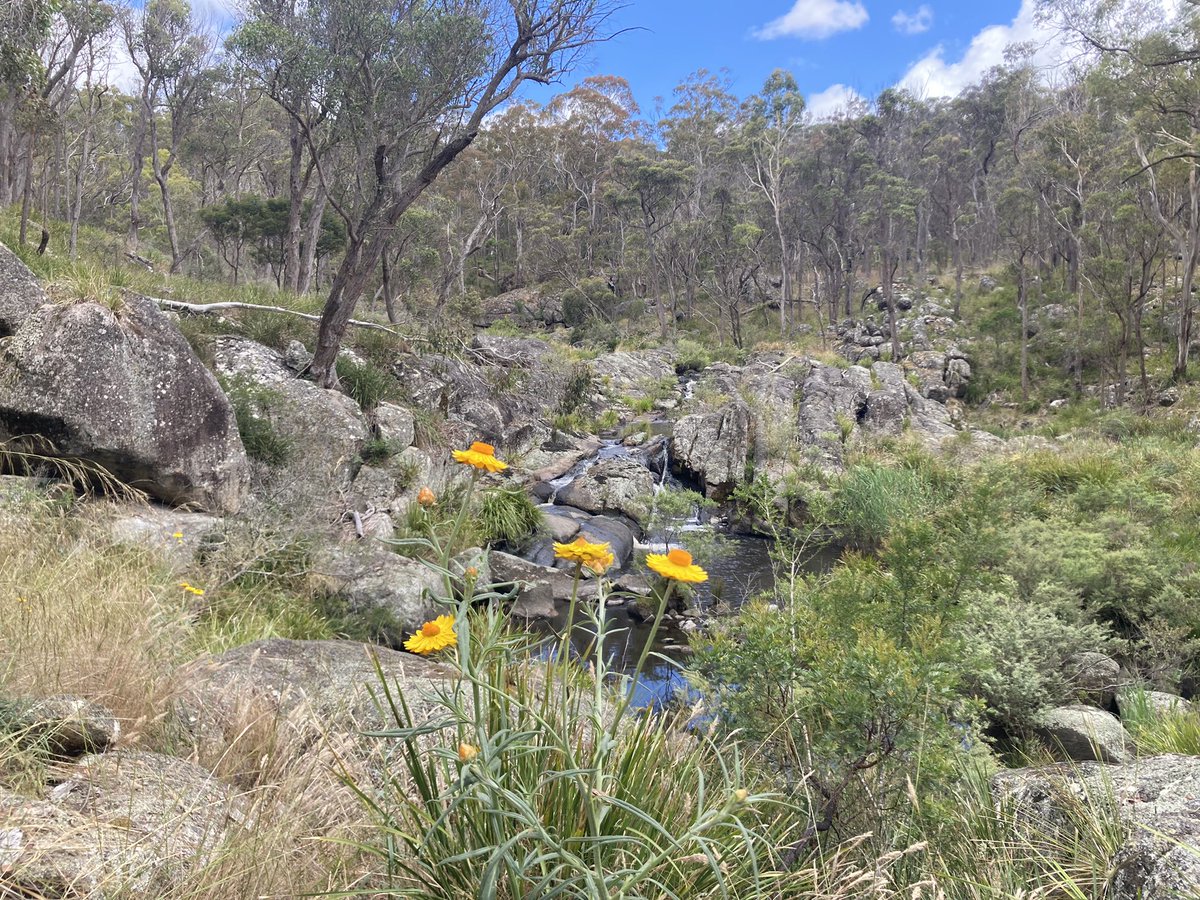 PaulMathiesen's tweet photo. View from camp https://t.co/WUkjN9VEMN