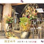 【公式】伊勢神宮のお膝元　鳥羽　胡蝶蘭のツイート画像