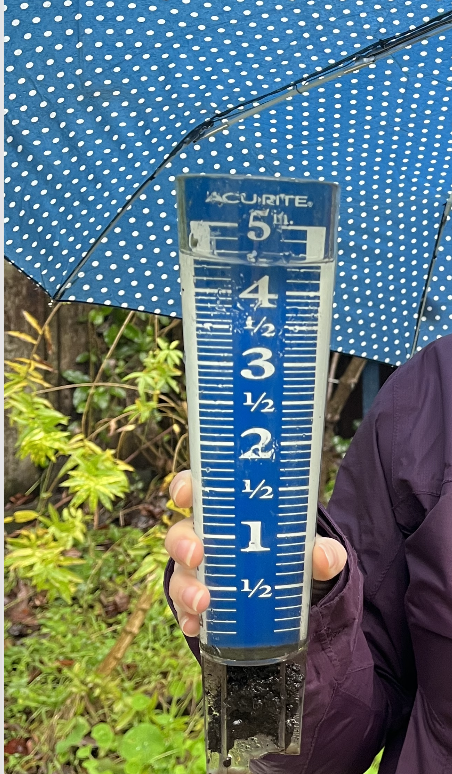 eyesonsdskies's tweet photo. A lil bit wet. My daughter and son-in-law in Berkeley have about 4.5 inches in their rain gauge in the last 24 hours alone. #CAwi https://t.co/rXF4Hneej5