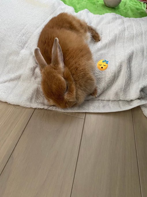 Twitterのコスプレ画像17