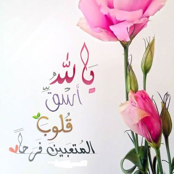 Hanenshe's tweet photo. #صورة_ملف_شخصي_جديدة https://t.co/J5ah4f9ie1