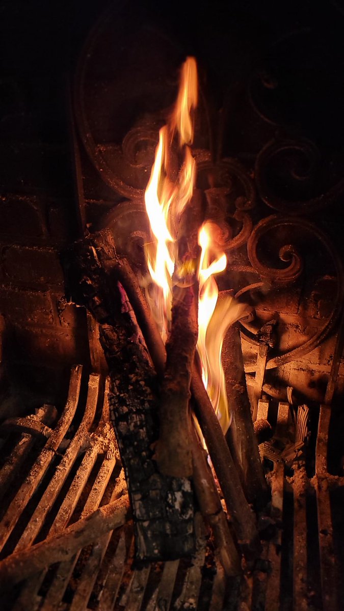 Francois de Ricolfis (@ricolfis) on Twitter photo 