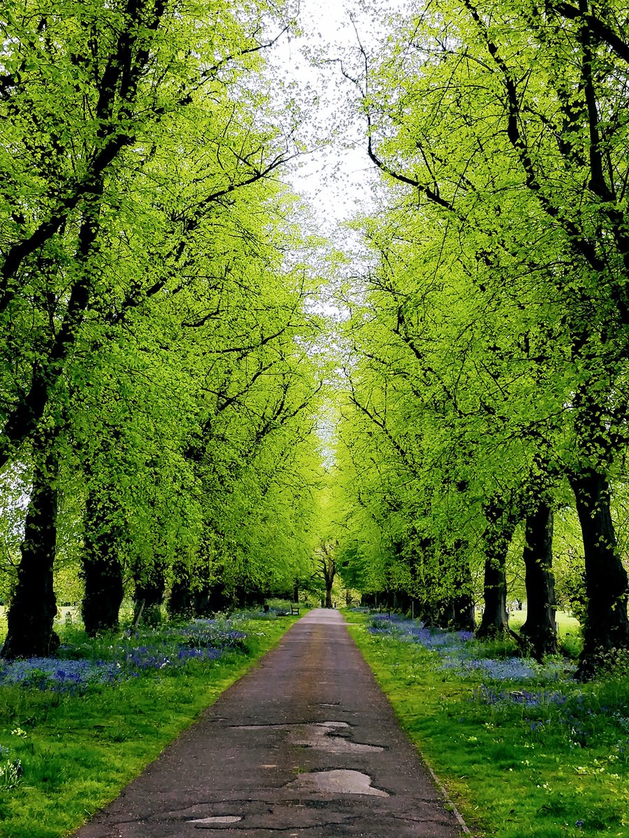 Whatever the future holds in the coming year, enjoy the path you walk and notice the unprovoked beauty that surrounds you 🌻