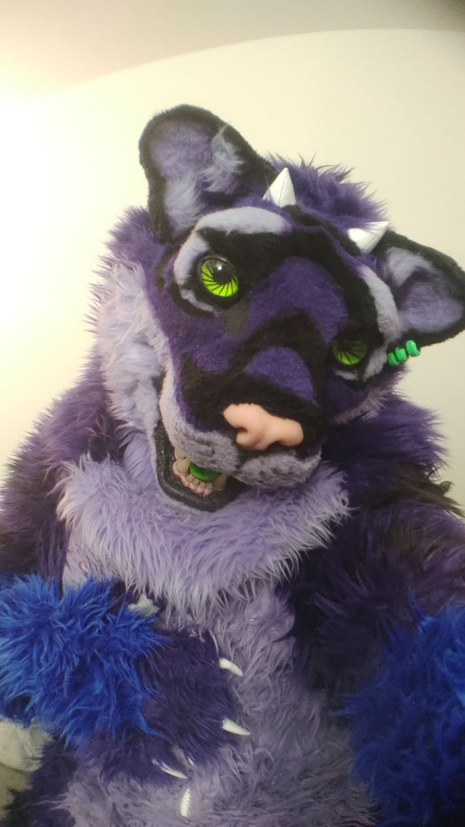 Roovaaku's tweet photo. Your floof taking a little cute pic https://t.co/H8dbRMV9Vt
