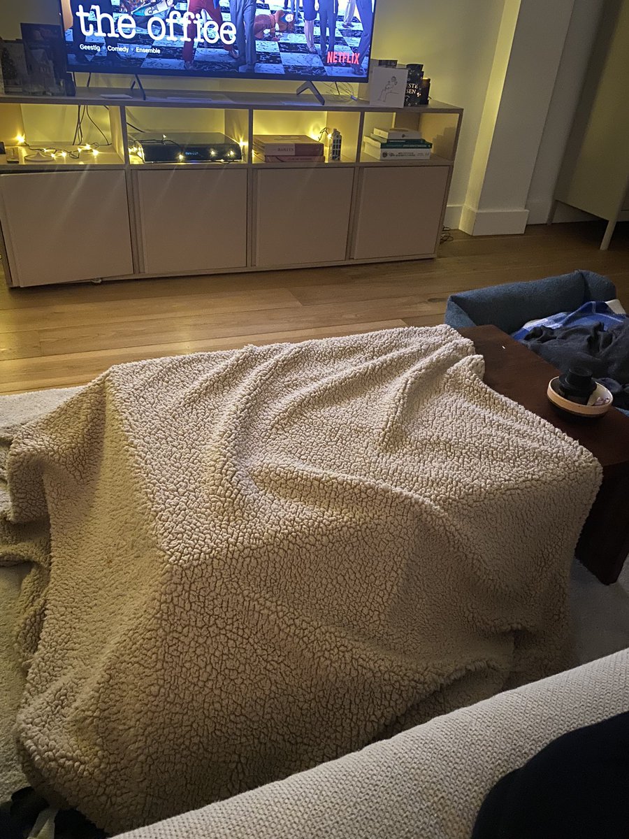 Vind siervuurwerk best leuk en mooi, de bommen die gelegd worden hier in Amsterdam Oost minder. Mijn hondje Frenkie slaat doodsangsten uit vanonder de koffietafel en is met geen mogelijkheid naar buiten te krijgen #OudenNieuw #vuurwerkverbod