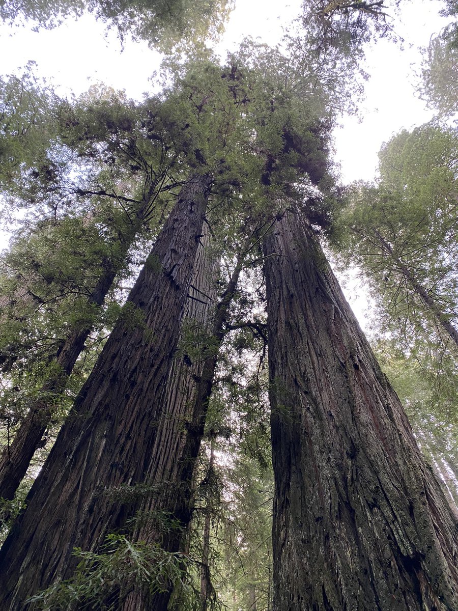 Dr. Christian Commander tweet media