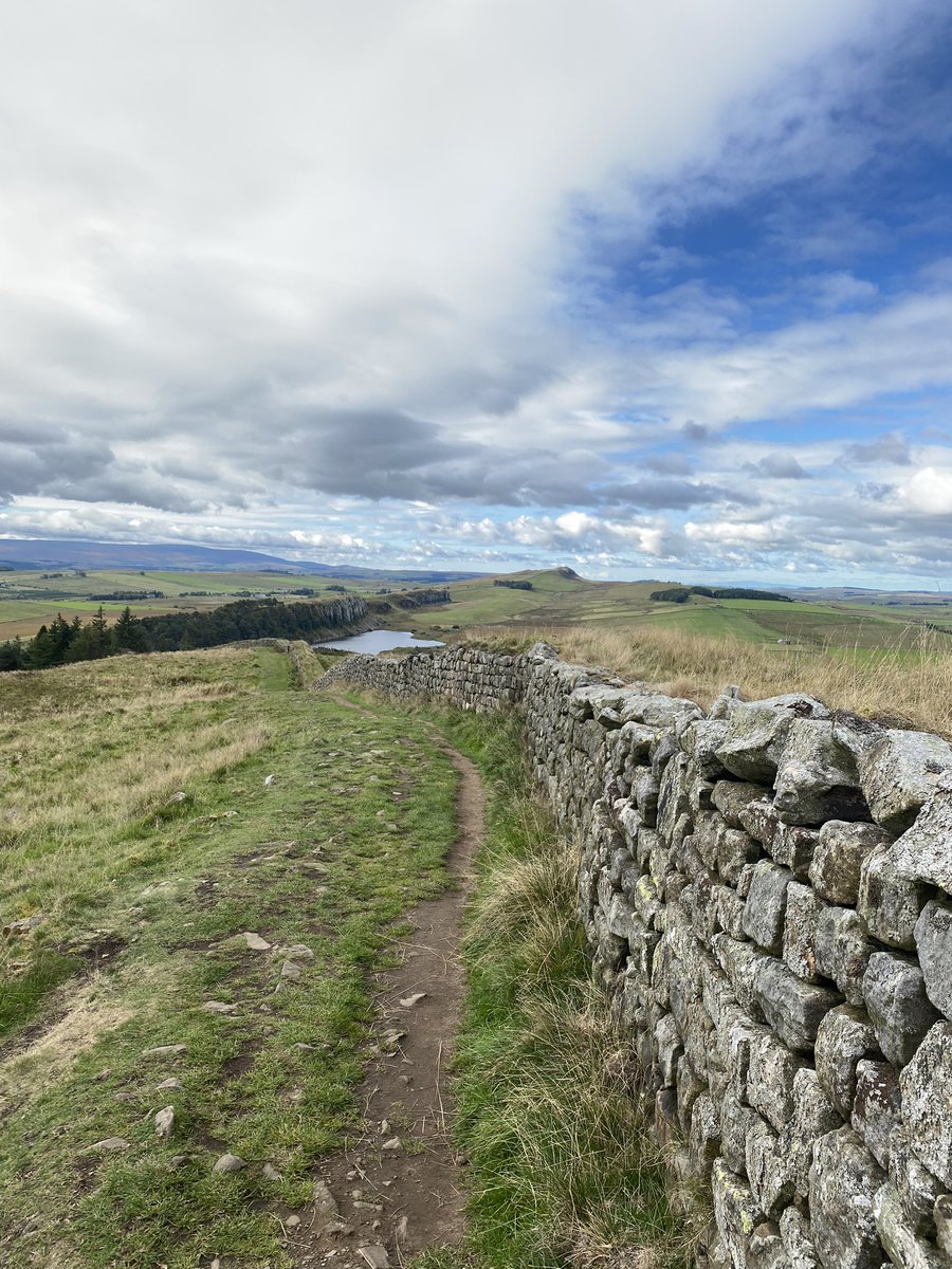 Dr. Christian Commander tweet media