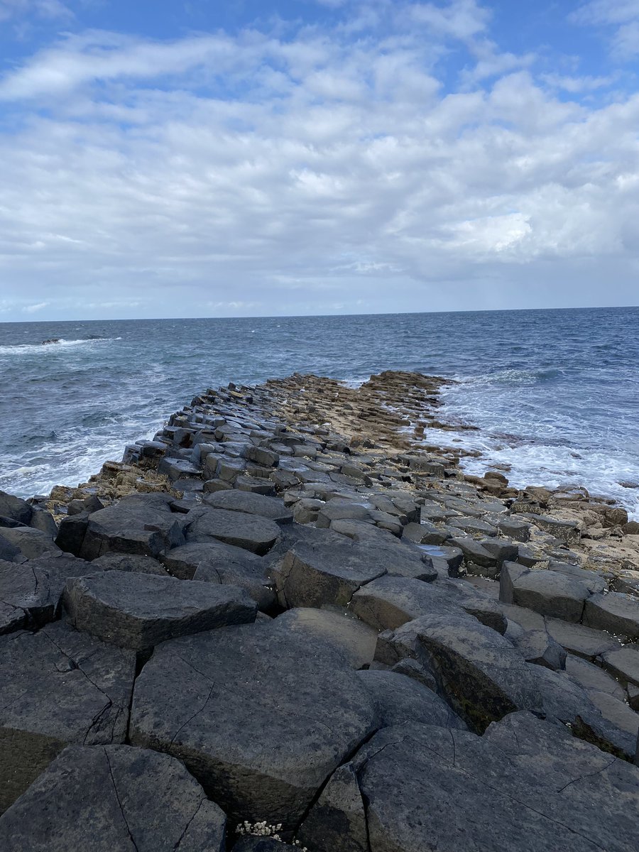 Dr. Christian Commander tweet media