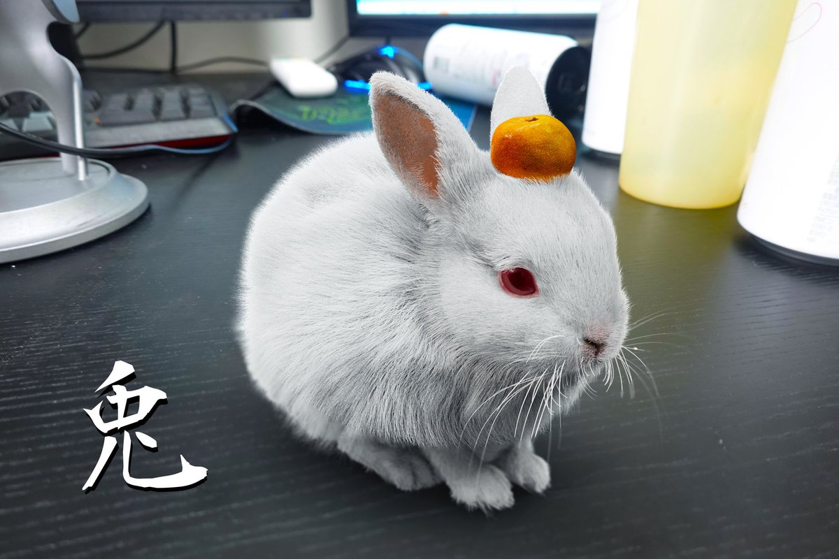 宮田 tweet media