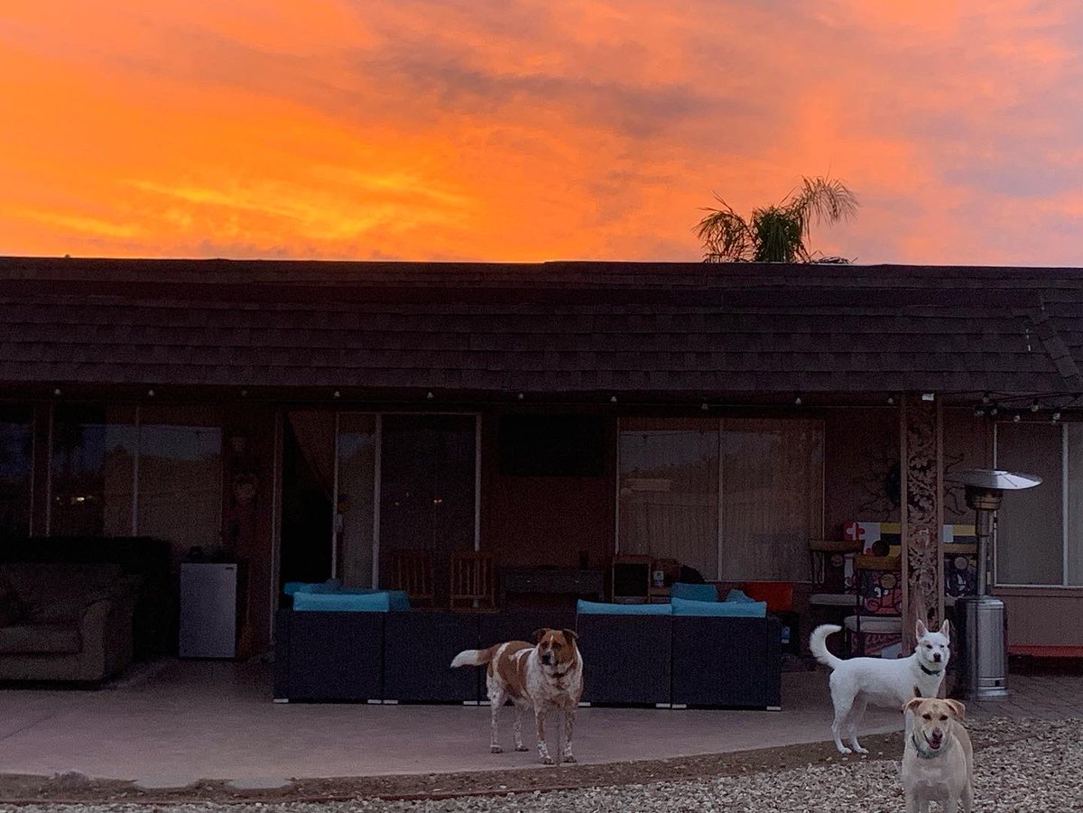 MelissaLSCPA's tweet photo. Beautiful end to 2022.  Happy New Year!! #Arizonasky https://t.co/kcefPicAaW