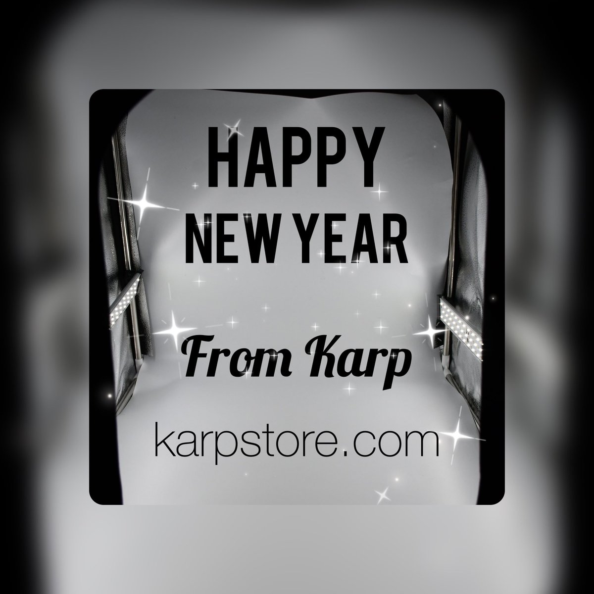 Karp tweet media