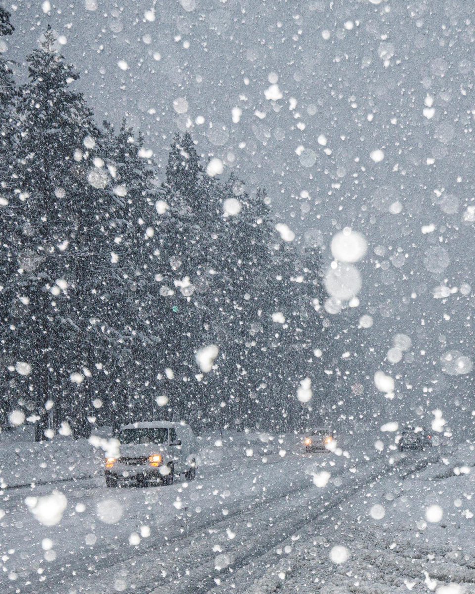 Mammoth Lakes Tourism, California tweet media