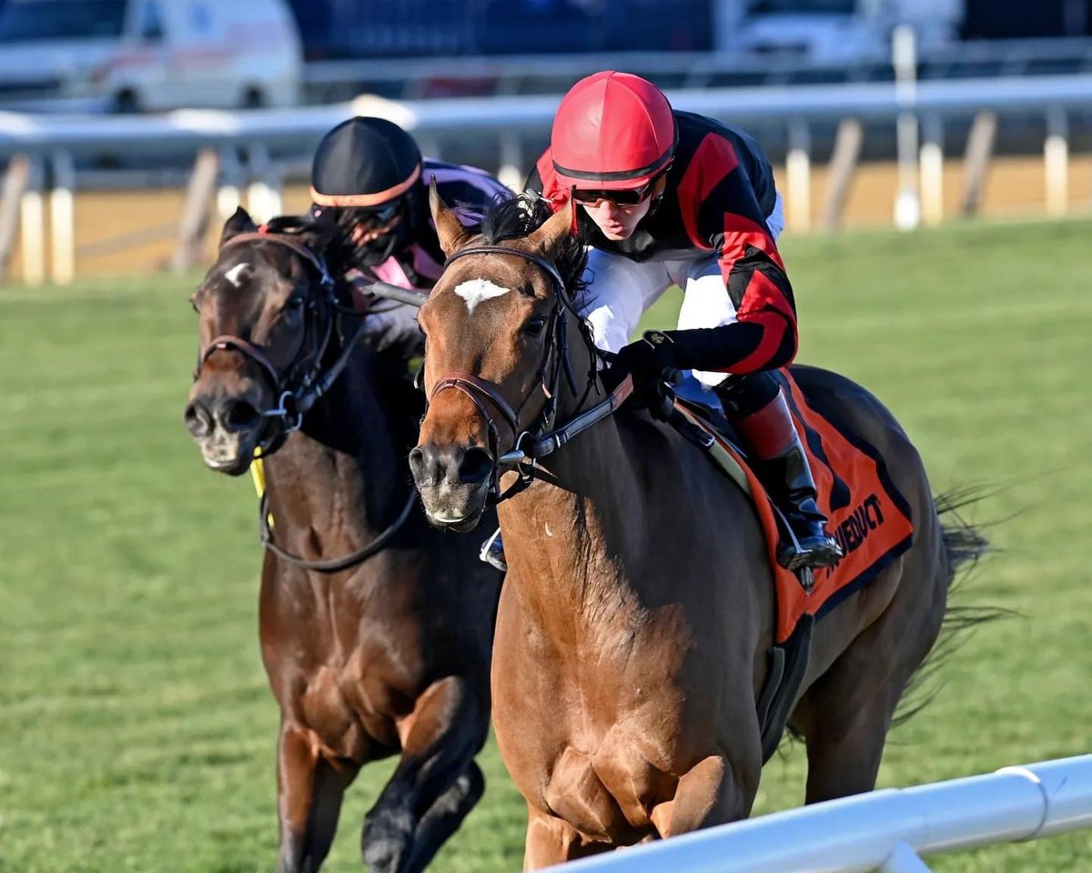 Dylan Davis ๐บ๐ธ๐๐ (@davisjockey) on Twitter photo Thank you for a great 2022! All the horses that ran their heart for me every race, horsemen, trainers, owners, my family and agent <a href="/mike__migliore/">Michael Migliore ๐ฎ๐น/๐บ๐ธ</a>. To finish leading jockey at <a href="/TheNYRA/">NYRA (๐ฝ)</a> for the year! A true honor. Looking for a prospering 2023. Happy New Years! ๐๐๐ Thank you for a great 2022! All the horses that ran their heart for me every race, horsemen, trainers, owners, my family and agent <a href="/mike__migliore/">Michael Migliore ๐ฎ๐น/๐บ๐ธ</a>. To finish leading jockey at <a href="/TheNYRA/">NYRA (๐ฝ)</a> for the year! A true honor. Looking for a prospering 2023. Happy New Years! ๐๐๐