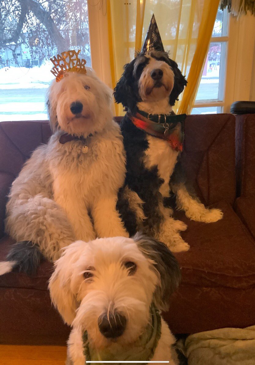 Corley & Huckleberry tweet media