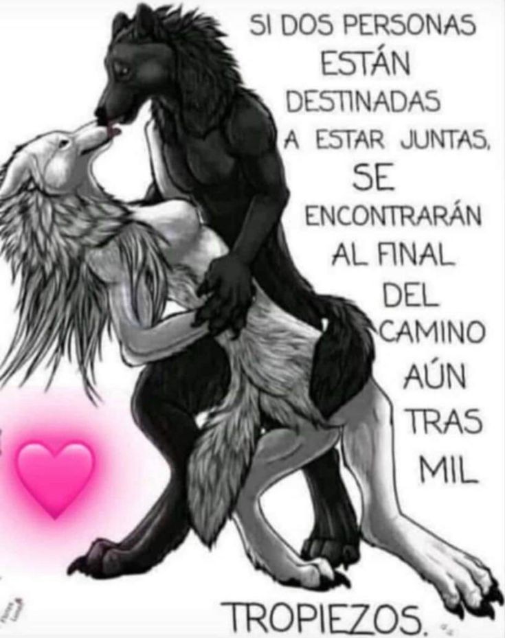 tuki (@floscanes) on Twitter photo 