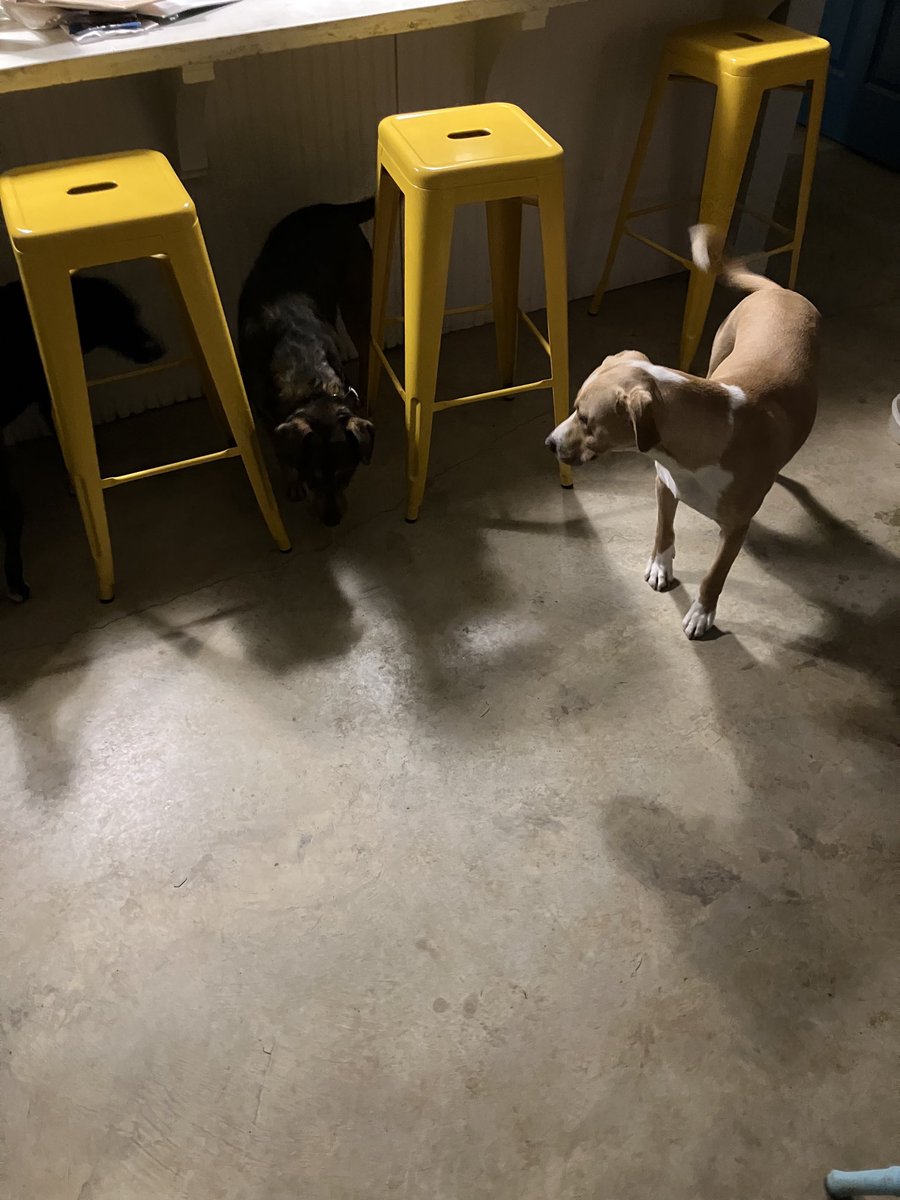 JeffCates9's tweet image. Fireworks are stupid