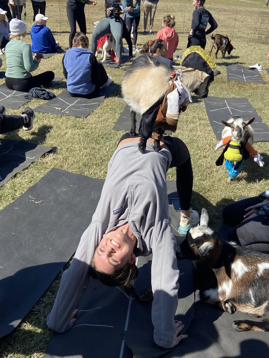 UT_Southern's tweet photo. From on campus scavenger hunts, to exceptional lectures and guest speakers, and even goat yoga (or with Flame 😁), it’s safe to safe UT Southern has had quite the year! Firehawks and Friends, what’s been your favorite on campus event ? 🤔
Let us know in the comments below! 
#UT22 https://t.co/bfFyWiQUDH