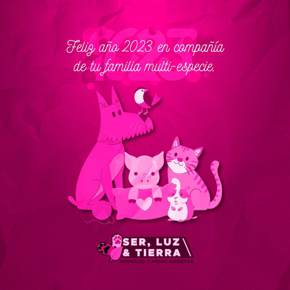 LomitosyMichisD's tweet photo. Tu familia de Ser Luz y Tierra les desea un hermoso 2023, lleno de amor, paz y felicidad. https://t.co/D2E2QiMR4u