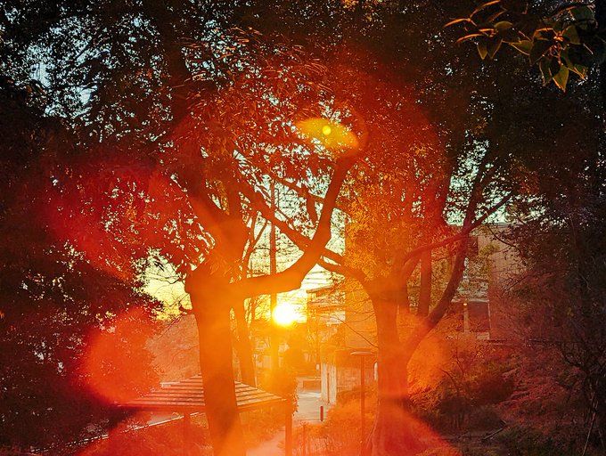 あけましておめでとうございます。
今年もよろしくお願いします。

↓ドラクエウォーク散歩中に出くわした初日の出。 