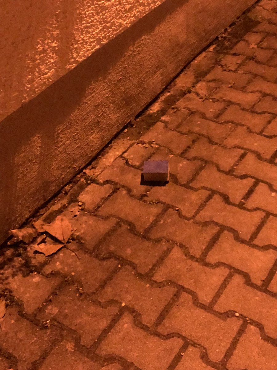 Ein Spülschwamm nachts um kurz nach zwei auf dem Geweg. Wieso? Woher?