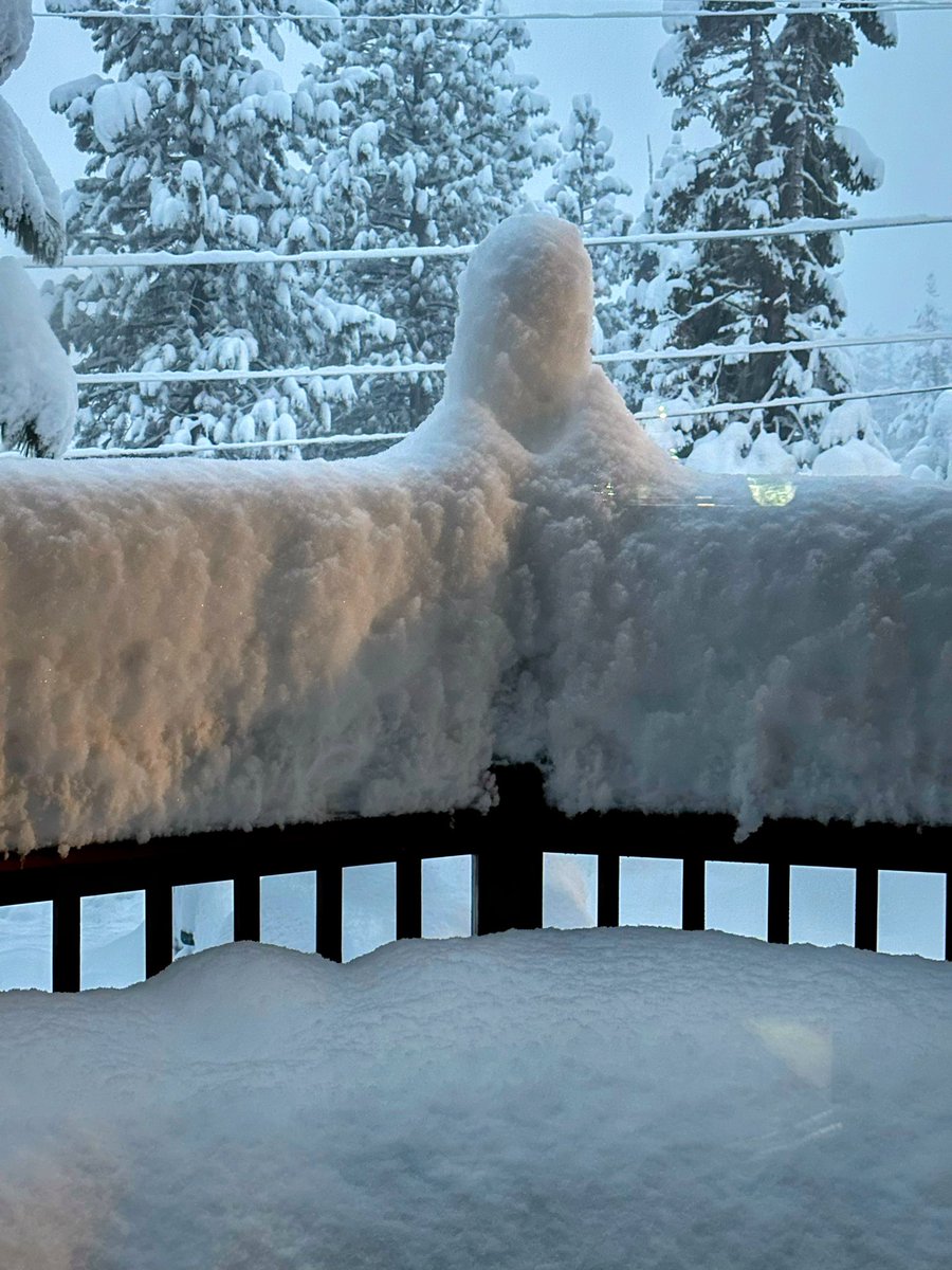 Deng-Kai Chen tweet media