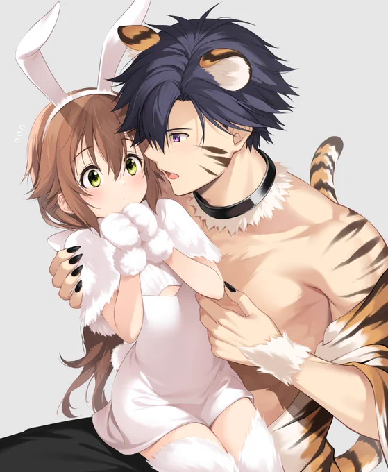 🐯➡️🐰 