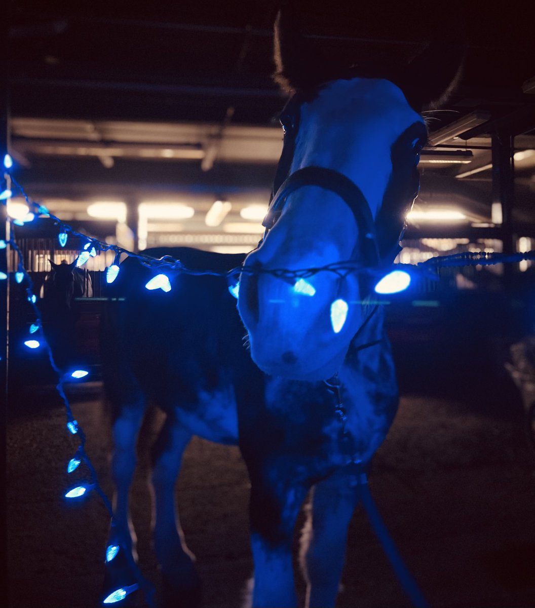 TPSMounted's tweet image. 6/7 #PHSaunders shines a light for #OPP Officer Grzegorz Pierzchala recently shot and killed responding to a vehicle in a ditch Dec 27 2022 #enoughisenough #shinealight #herosinlife ⁦@OPP_News⁩ #hagersville #ontarioprovincialpolice #westandwithyou