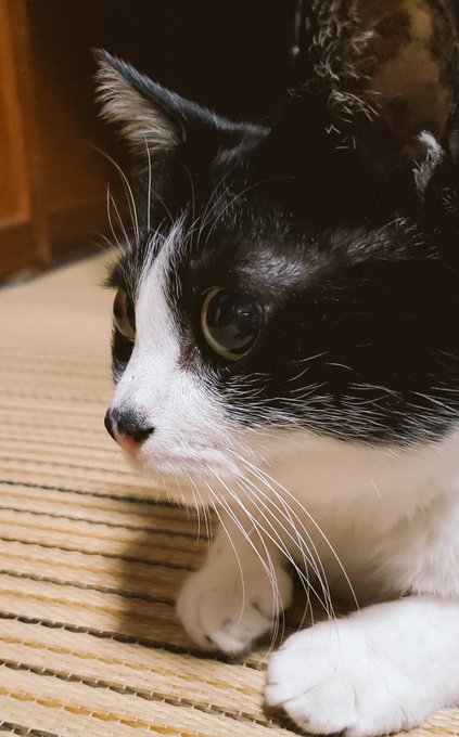 今年も元気によろすくキオスク 