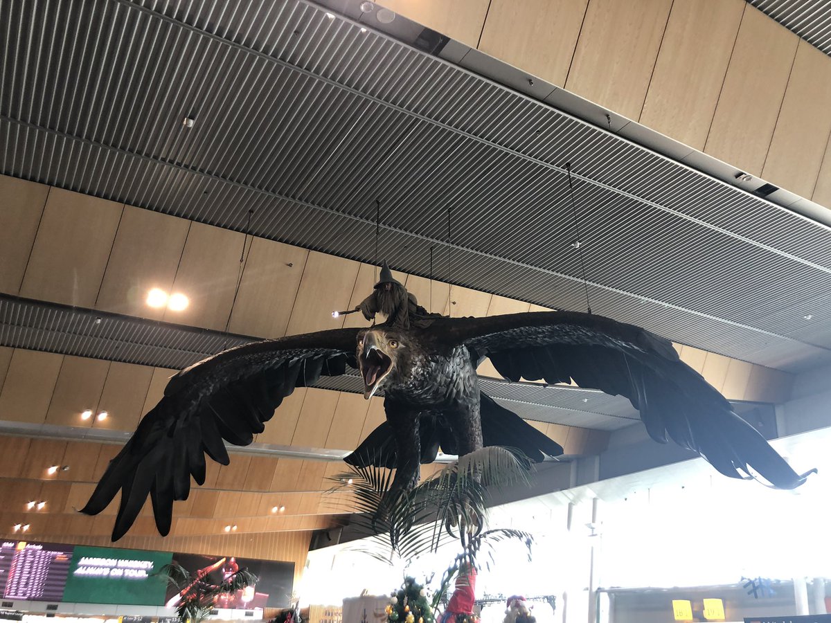 perpetuals3lf's tweet photo. Tell me you’ve landed in New Zealand without telling me you’ve landed in New Zealand #flyyoufools #gandalf #LOTR https://t.co/R2vvfEXZy3