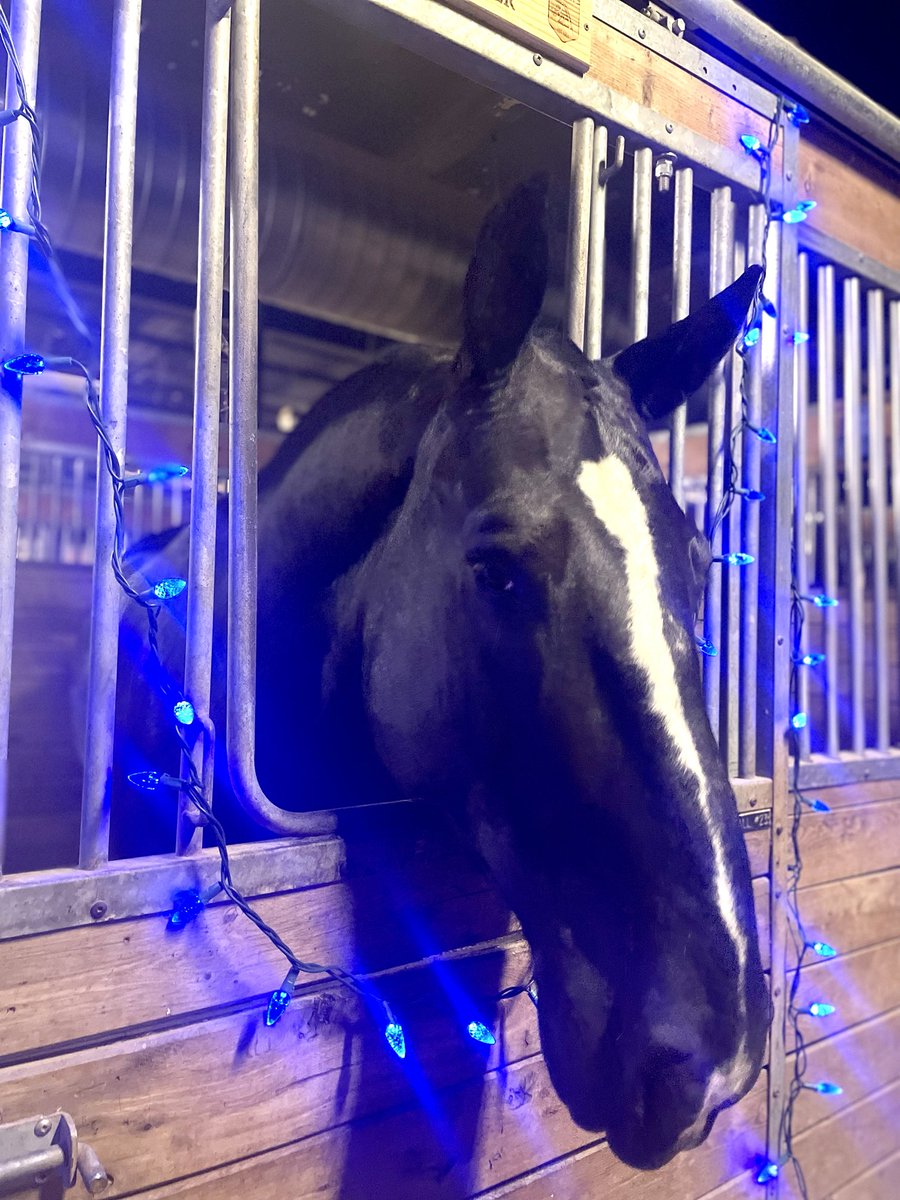 TPSMounted's tweet image. 7/7 #PHFirstResponder shines a light for ⁦@YRP⁩ Officer Travis Gillespie killed in a head on collision by a drunk driver on his way to work Sept14 2022 #shinealight #herosinlife #firstresponders #toomuchloss #yorkregionalpolice ⁦@CalgaryPolice⁩ #AndrewHarnett