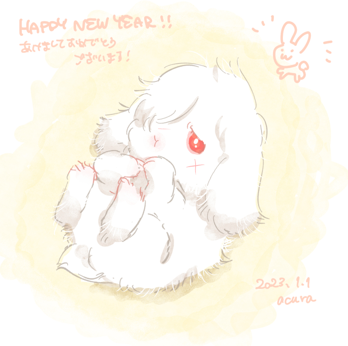 Happy year of the rabbit🐰 lezgoooooo🐇💨