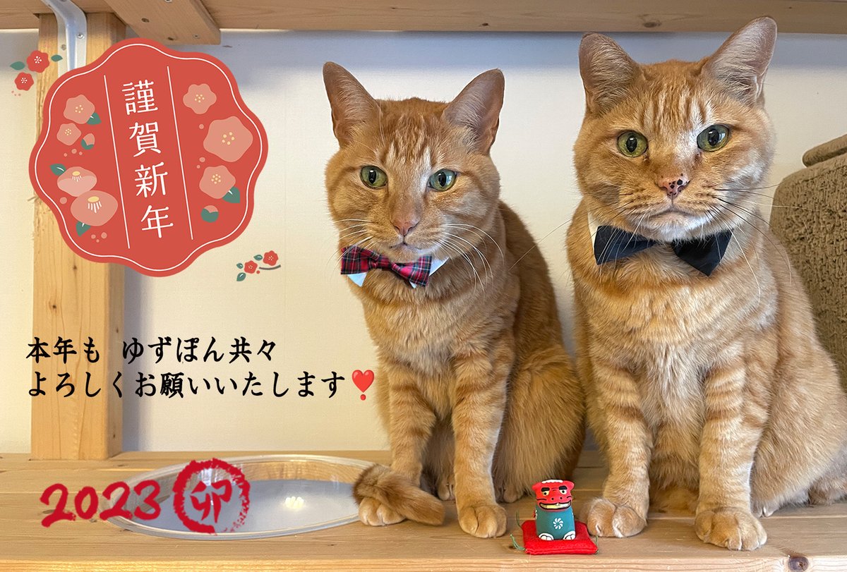ちびねこトムの大冒険 Chibineko Tom Twitter ちびねこトムの大冒険 Chibineko Tom Twitter