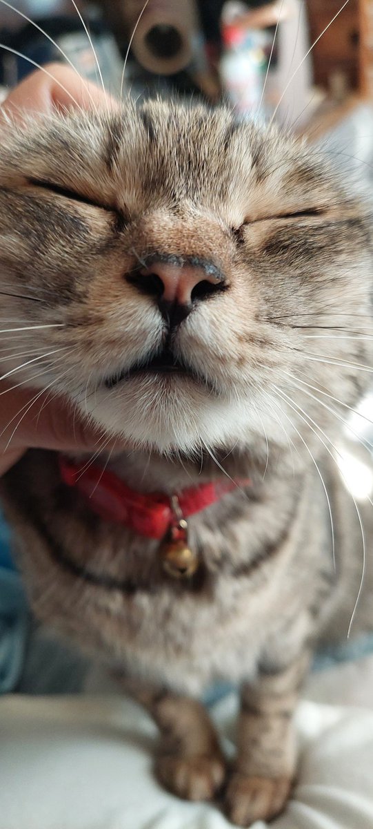 おはようございます。 