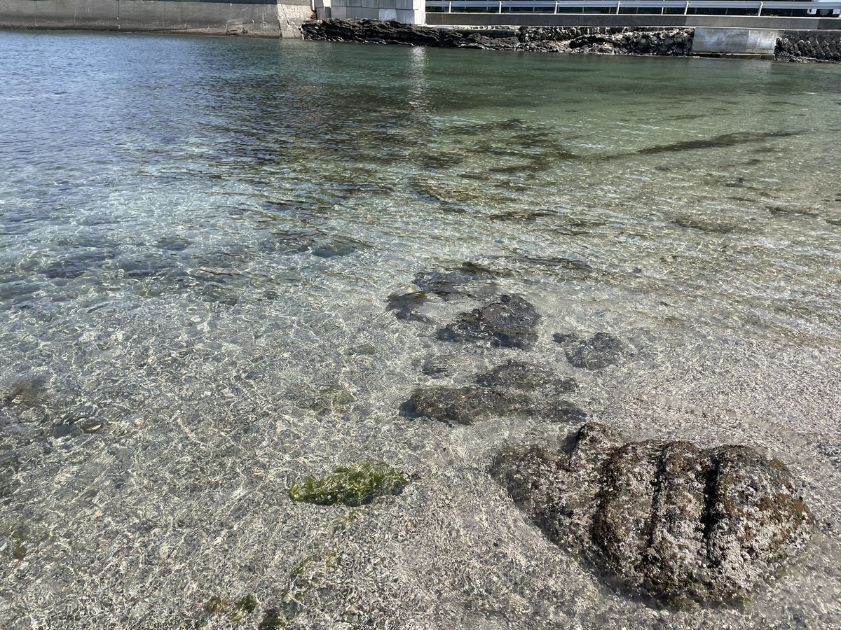 Junsurf3 tweet picture