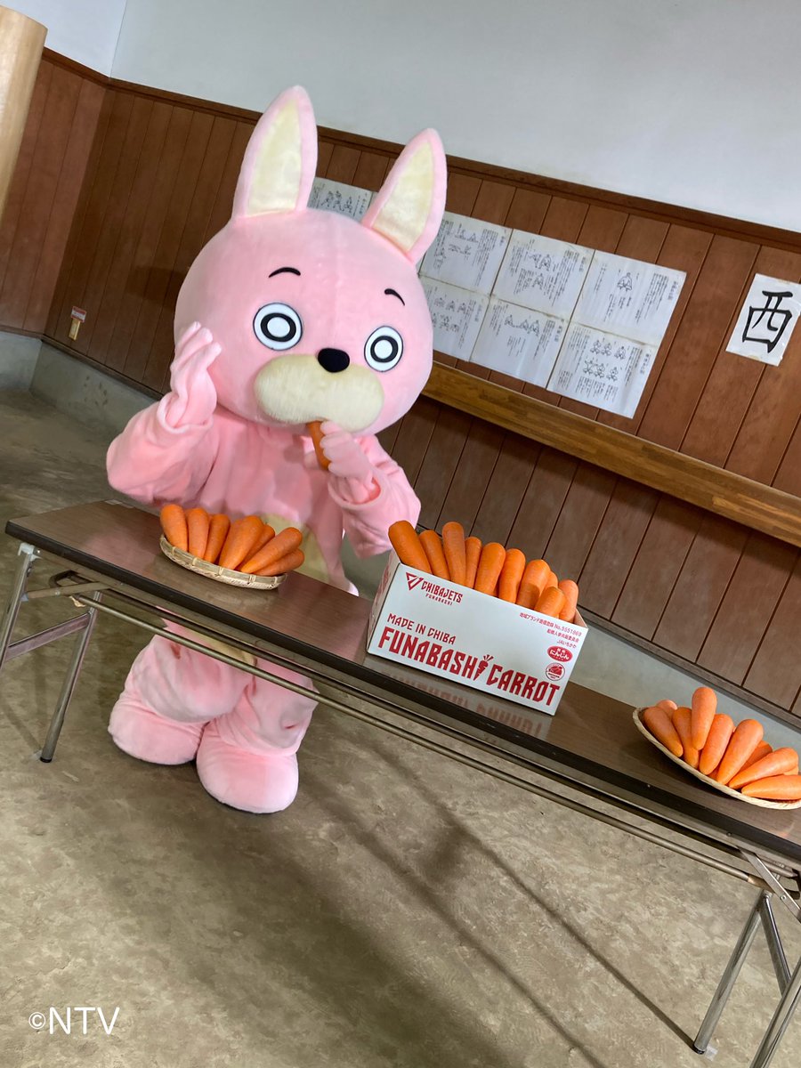 うさぎのピピ　桜沢如一 うさぎのピピ 桜沢如一 【公式通販】